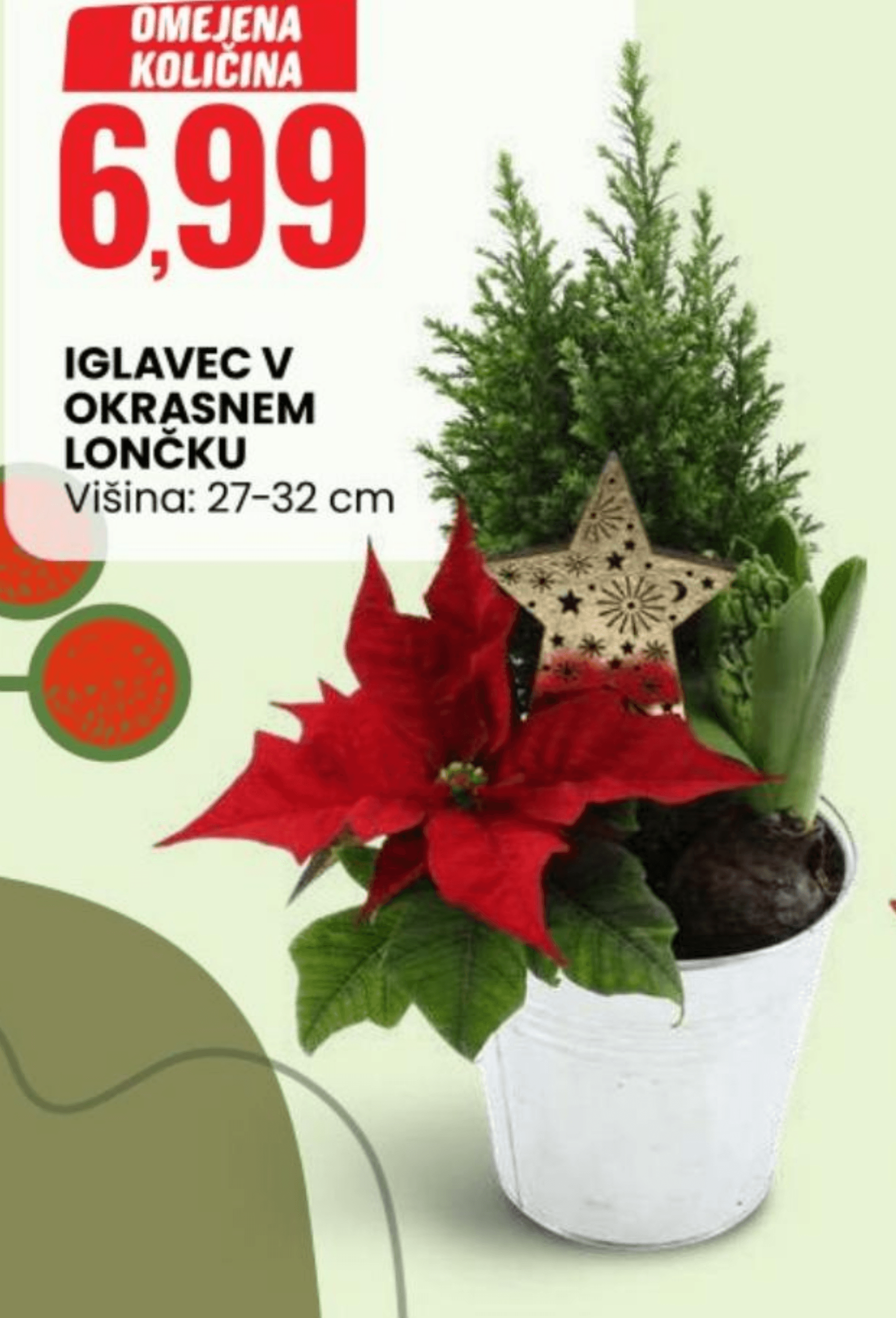 Iglavec