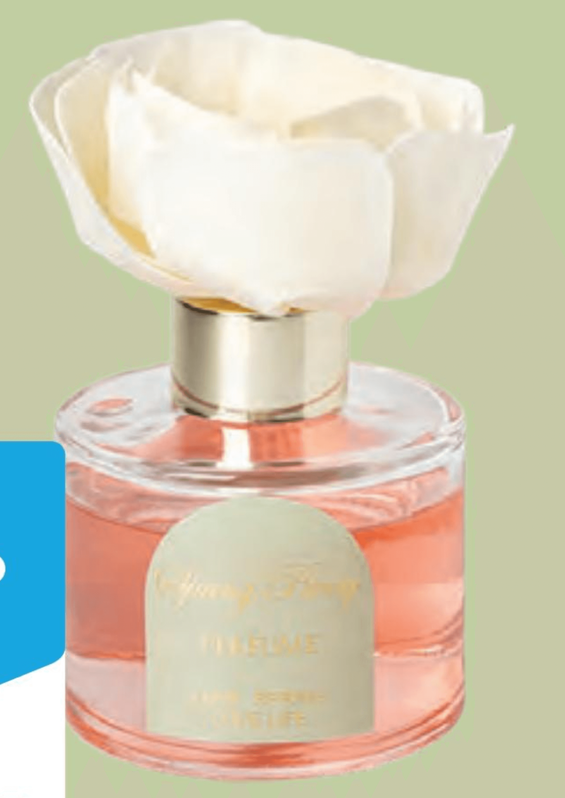 Difuzor dišav 100 ml - Akcija v trgovini Pepco