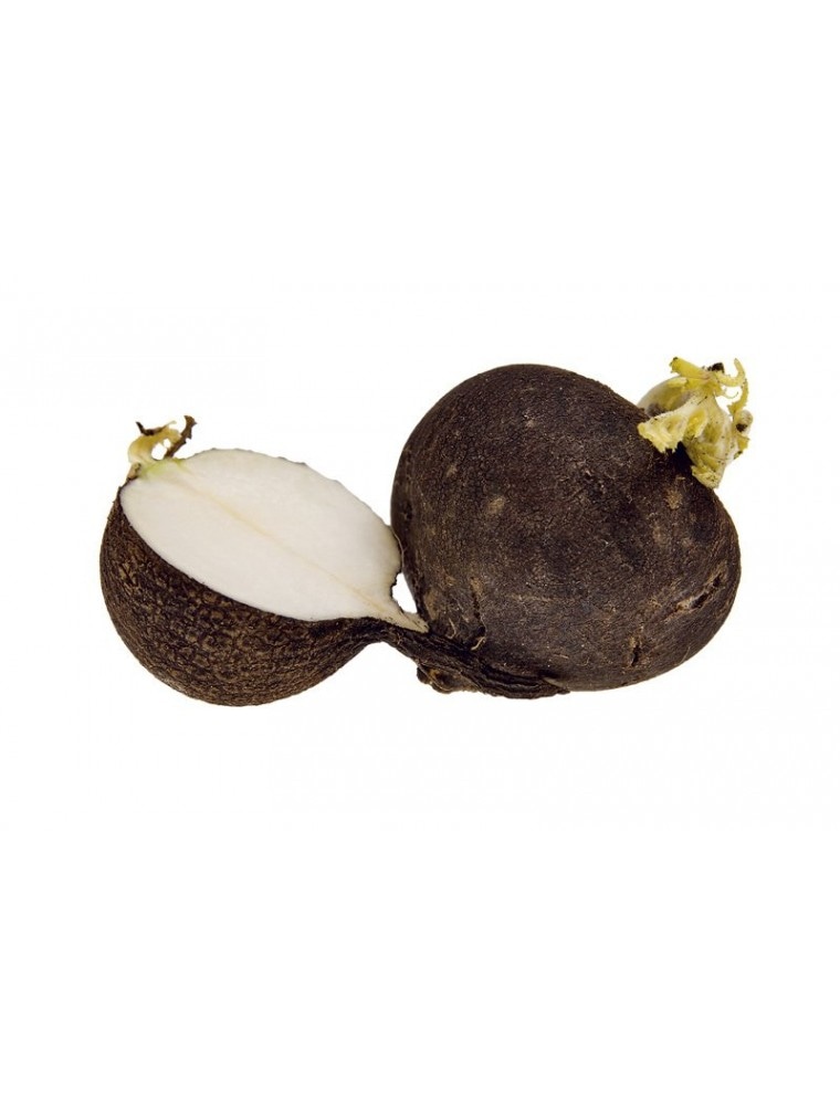 Slovenska črna redkev 1 kg