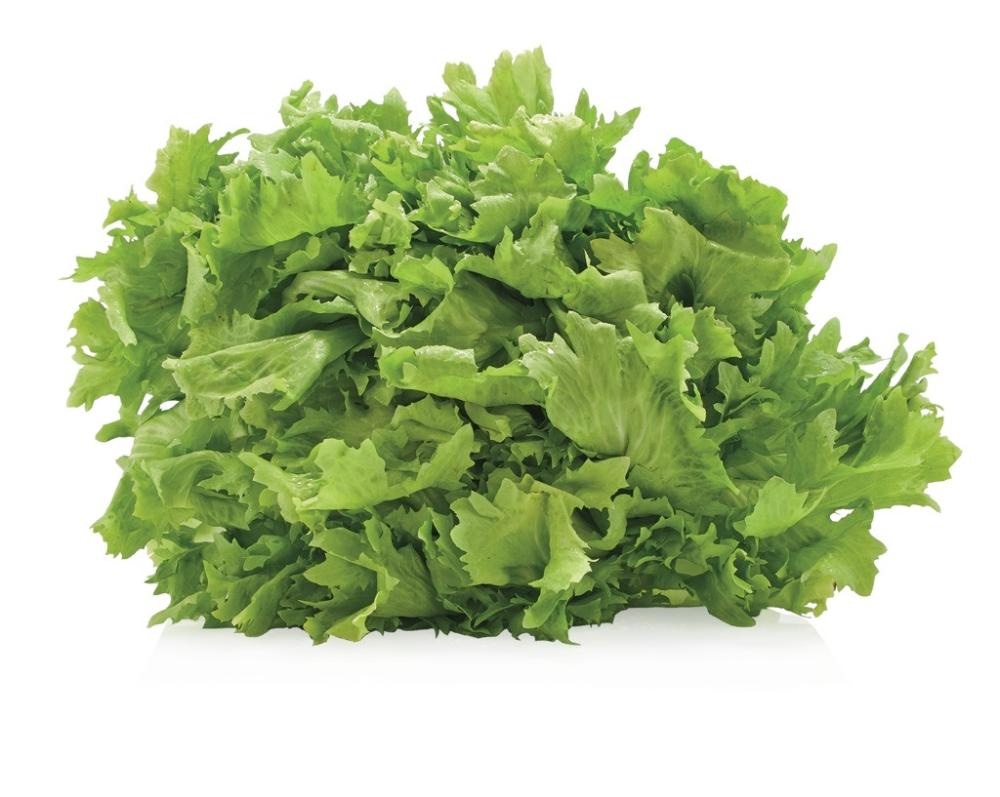 Solata Endivija 1 kos