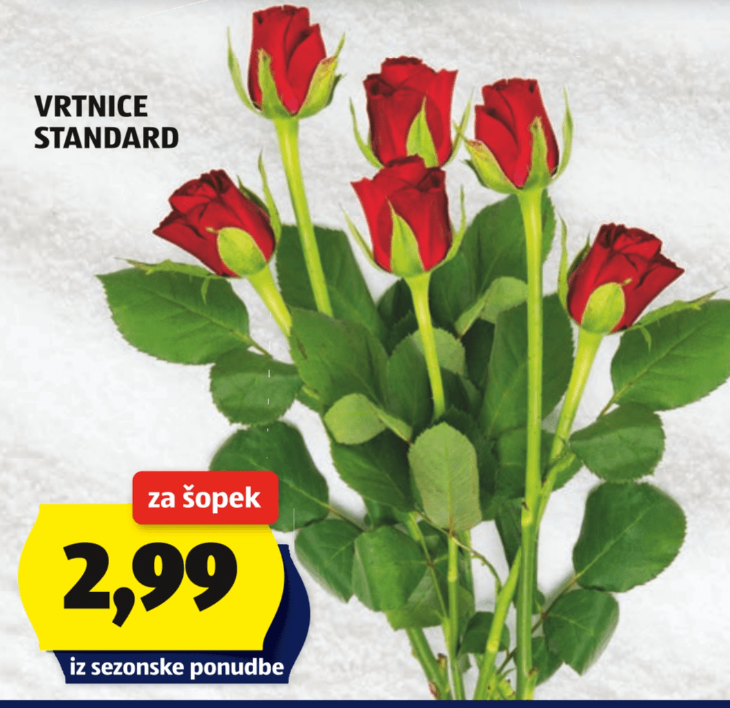Vrtnice Standard