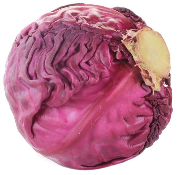 Slovensko sveže rdeče zelje 1 kg