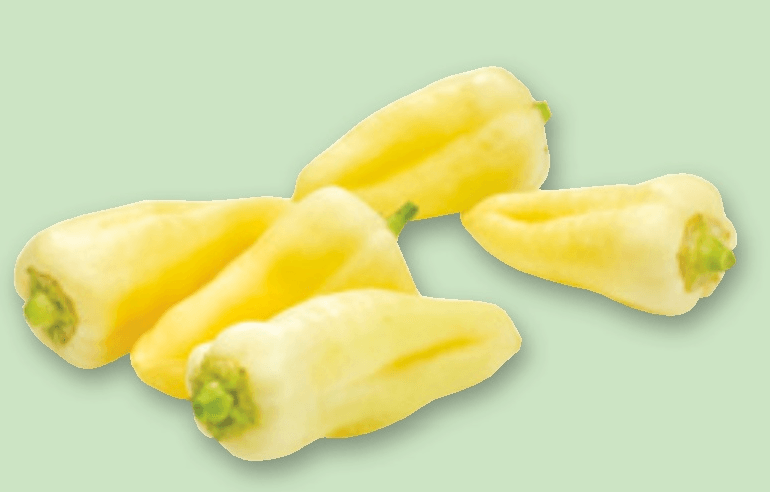 Bela dolga paprika pakirano, 500 g