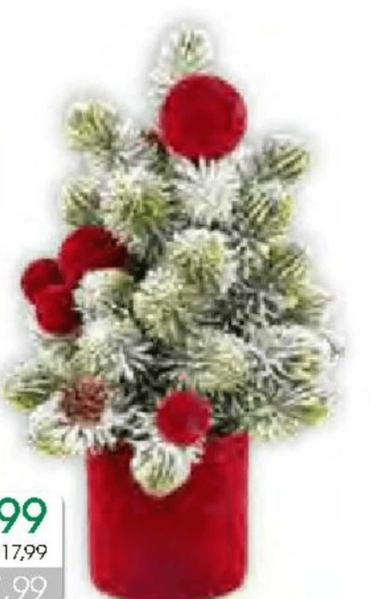 Vivi Božični aranžma