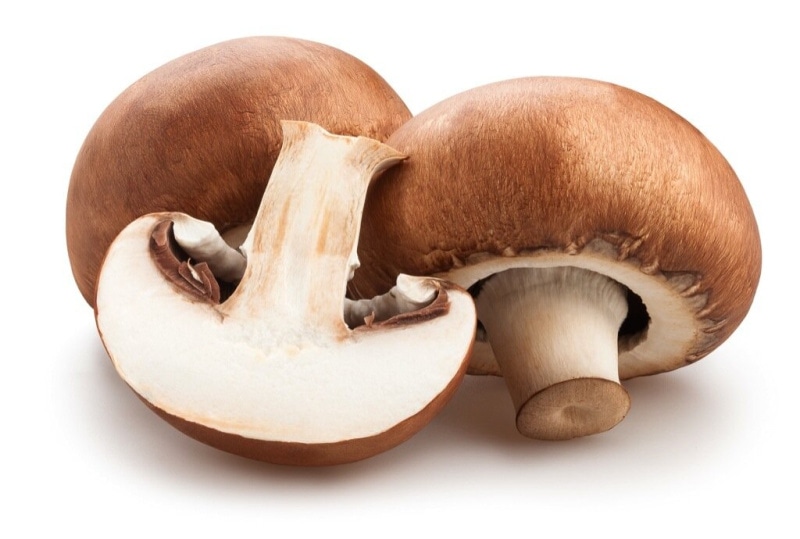 Rjavi šampinjoni pakirano, 400 g