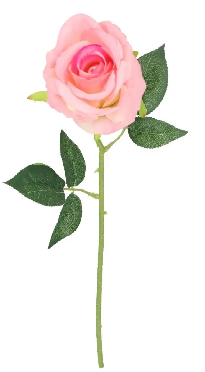 Posamična Vrtnica - Akcija v trgovini Jager