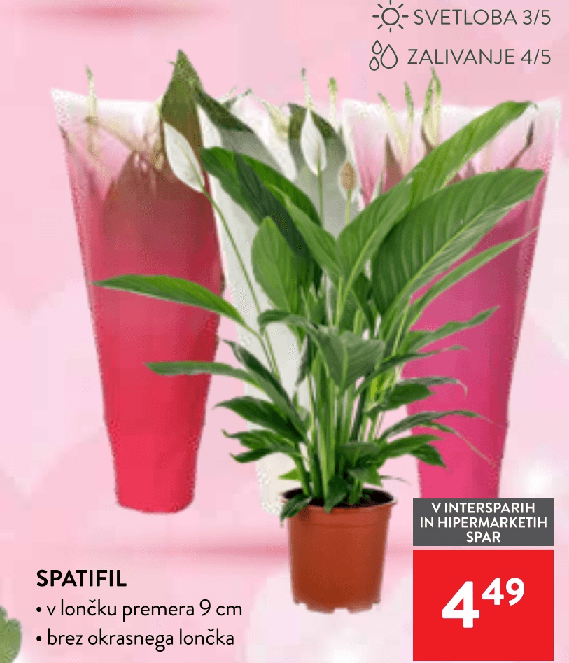 Spatifil - Akcija v trgovini Spar