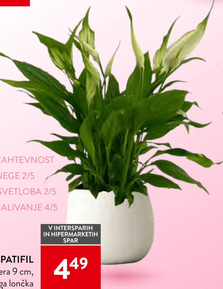 Spatifil - Akcija v trgovini Spar