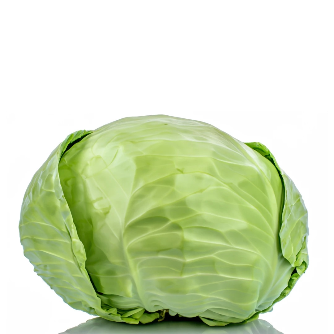 Slovensko belo zelje