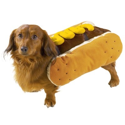 Kostum za psa Hot Dog ali Buča - Akcija v trgovini E.Leclerc