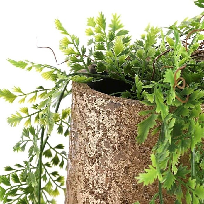 Aranžma sobnih rastlin