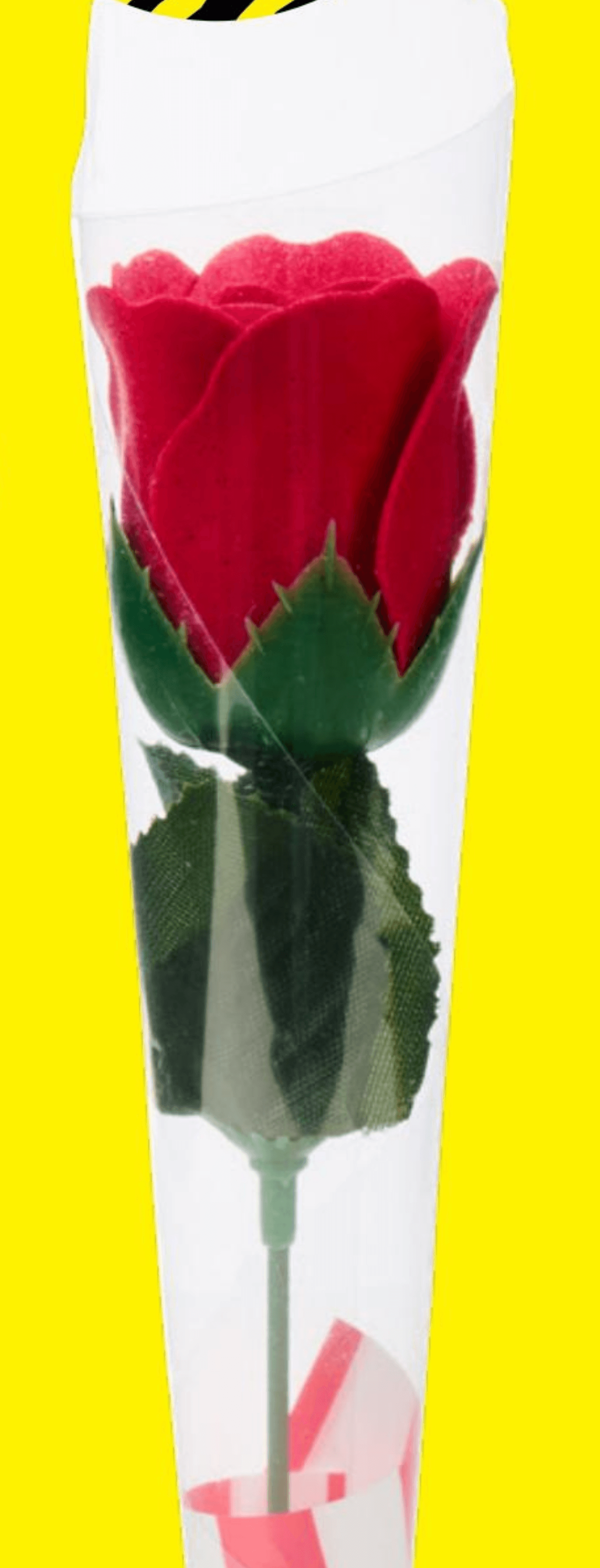 Vrtnica - Akcija v trgovini Tedi