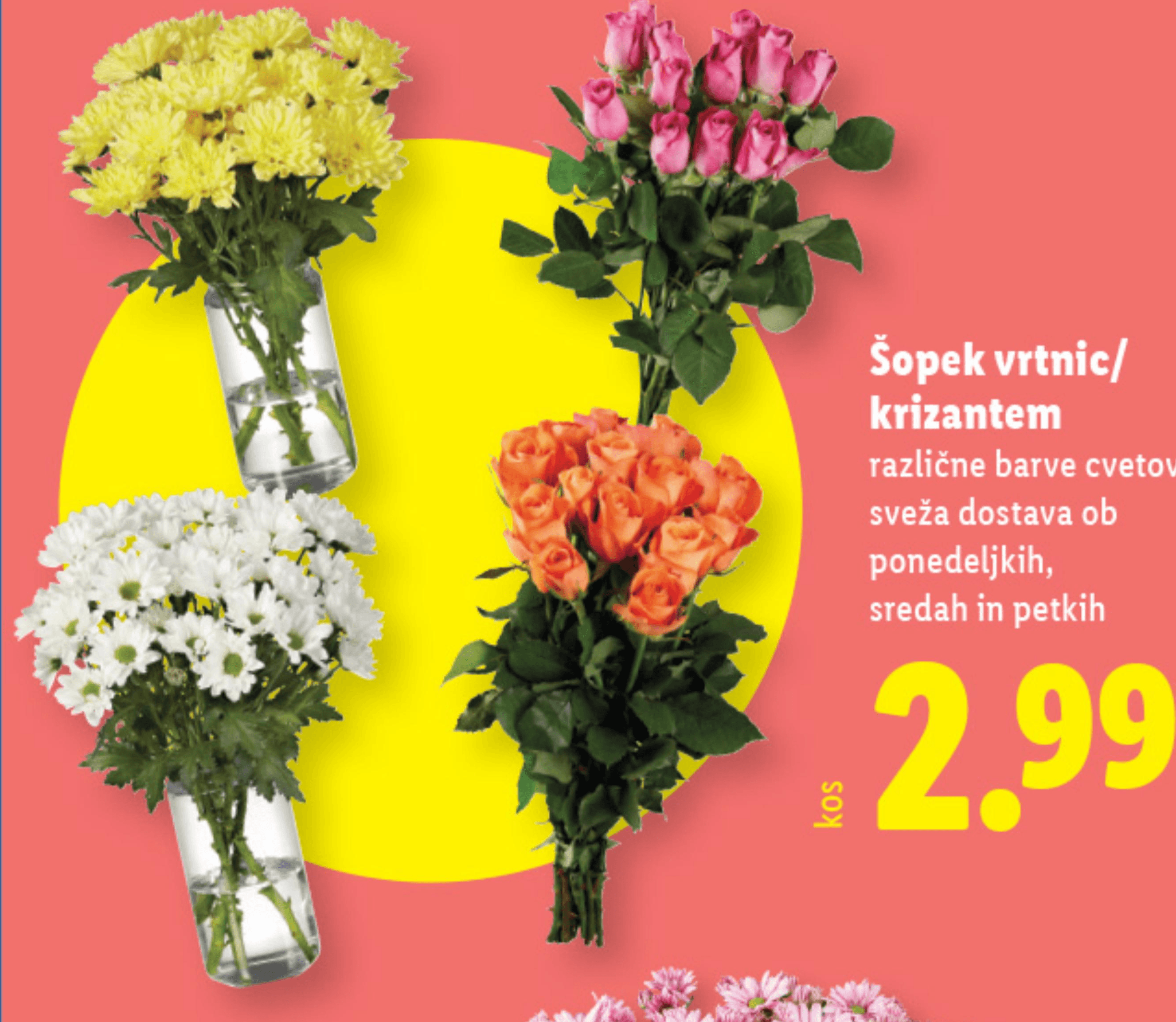 Šopek vrtnic/krizantem