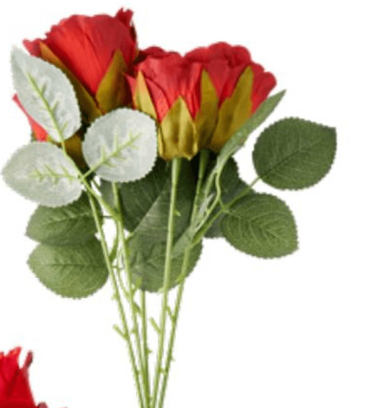 Šopek vrtnic S - Akcija v trgovini Tedi