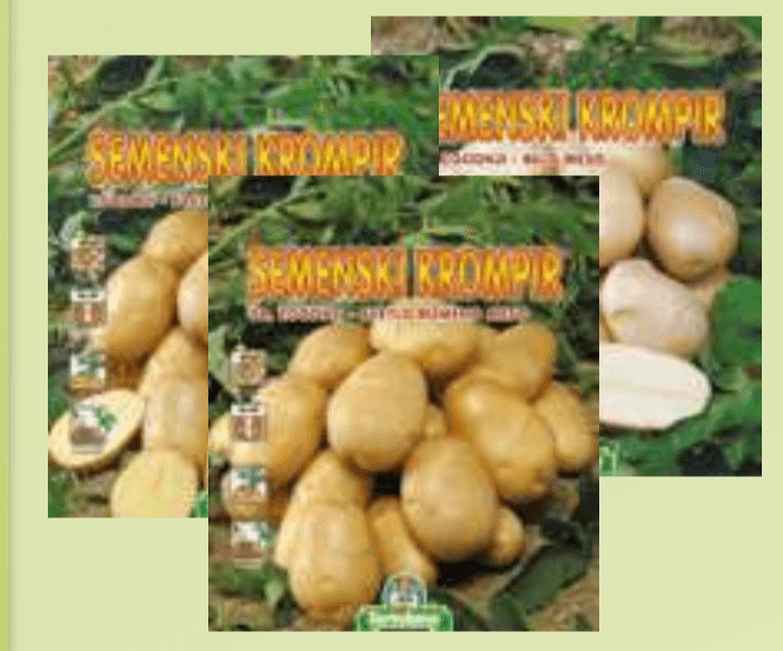Zgodnji semenski krompir - Akcija v trgovini E.Leclerc