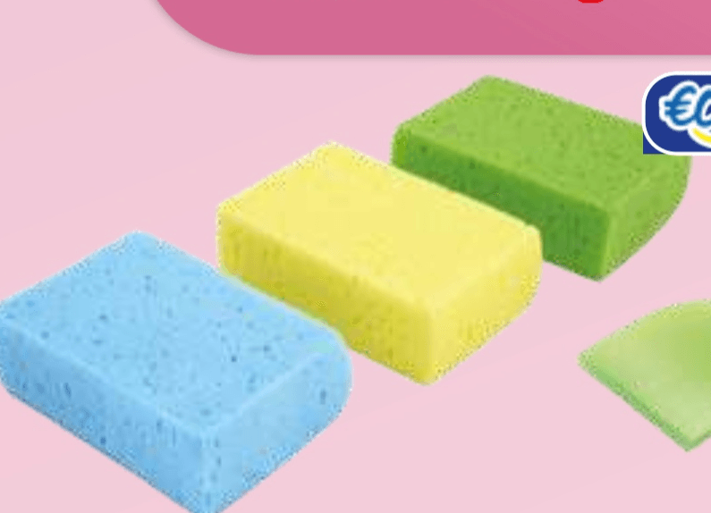 Večnamenska goba - Akcija v trgovini E.Leclerc