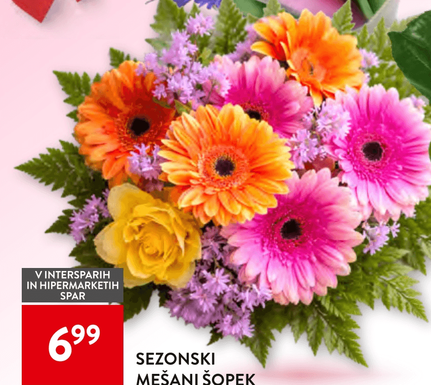Sezonski Mešani Šopek - Akcija v trgovini Spar
