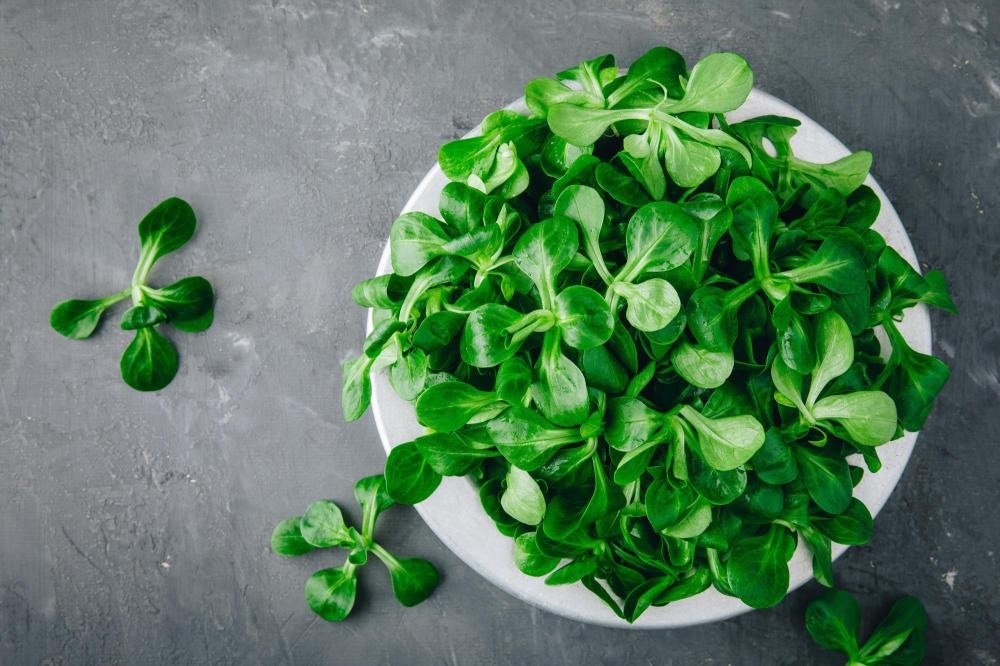 Motovilec, rukola ali berivka 100 g