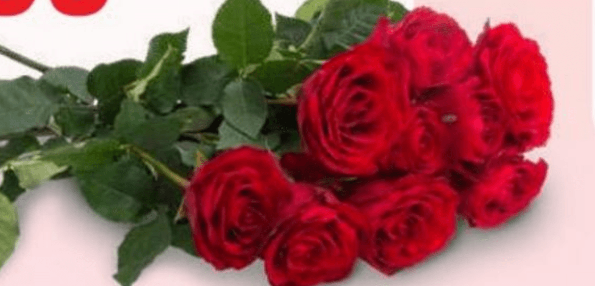 Šopek vrtnic - Akcija v trgovini Tuš