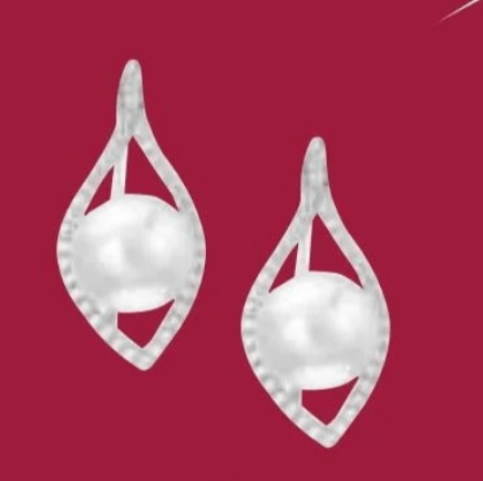 Uhani z gojenima biseroma in cirkonijevimi oksidi - Akcija v trgovini E.Leclerc