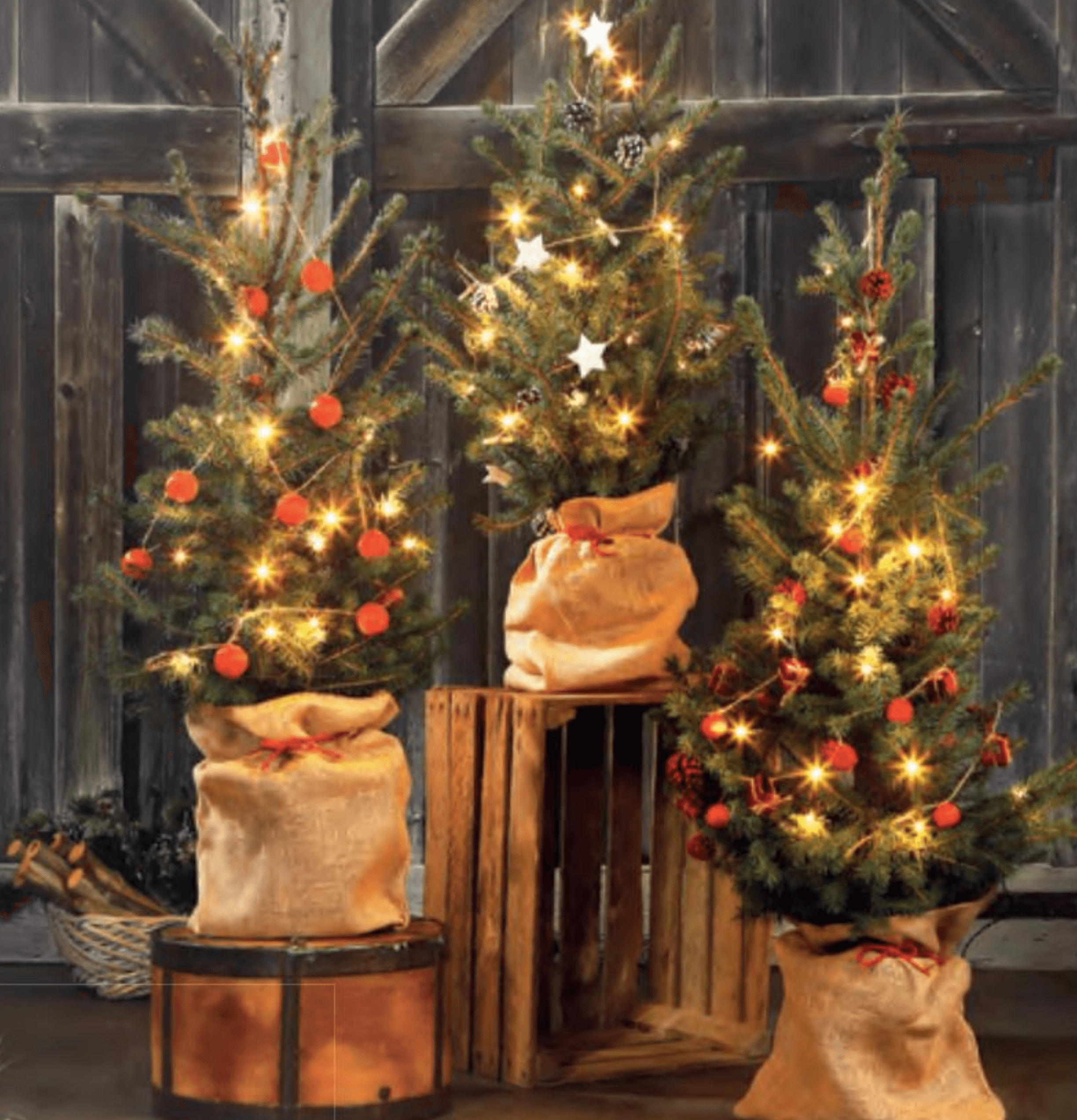 Božično drevo s svetlobno verigo