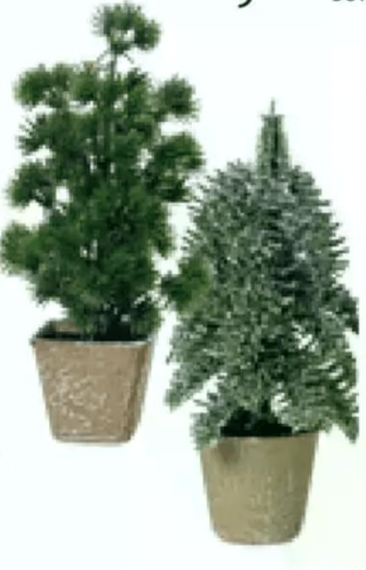 Mini drevo 8x8x20 cm