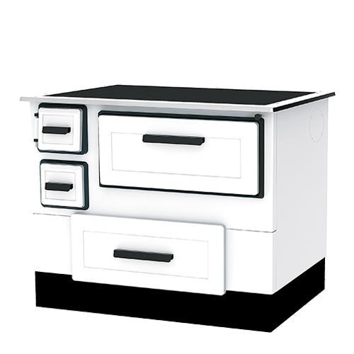 Alfa Plam Alfa 55 Termo štedilnik na trda goriva