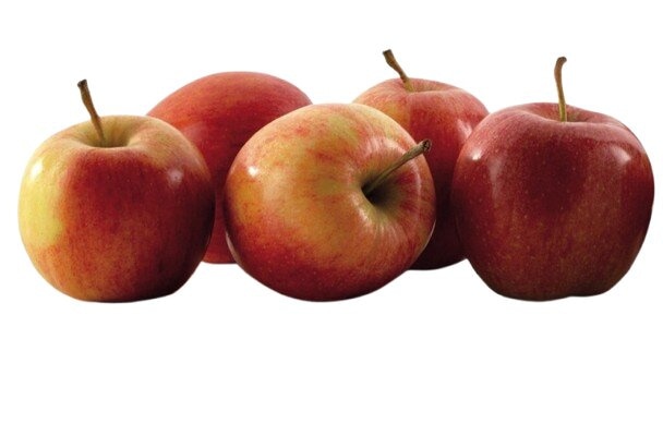 Slovenska Jabolka Gala 1 kg