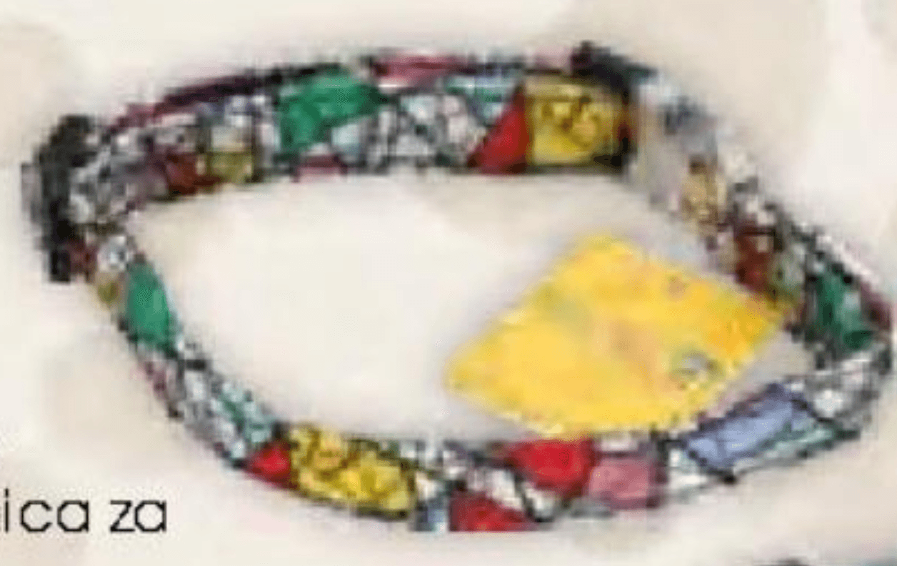 Petsy Ovratnica za pse Petsy