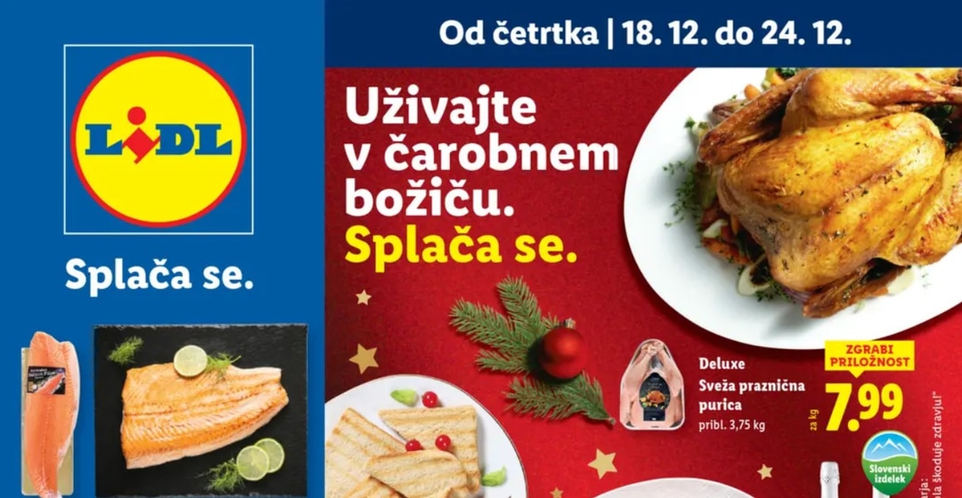 Lidl katalog Splača se od 18.12. do 24.12.2025
