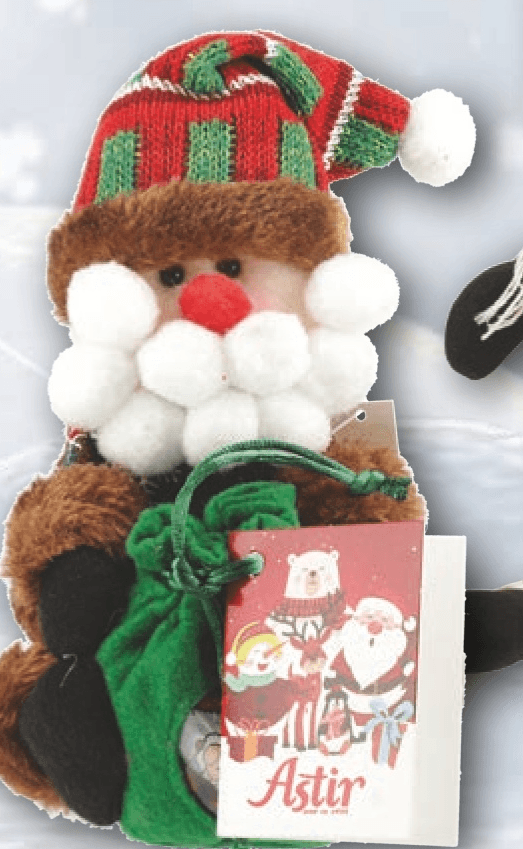 Praline s pliš igračko in božično vrečko 100 g