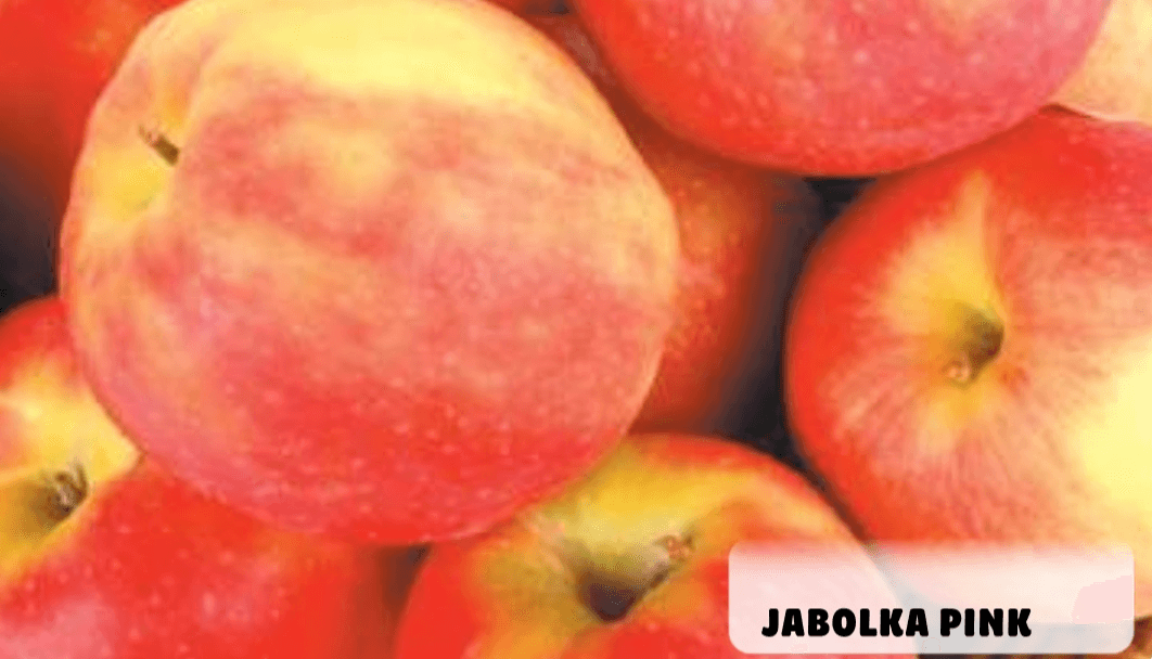 Jabolka Pink