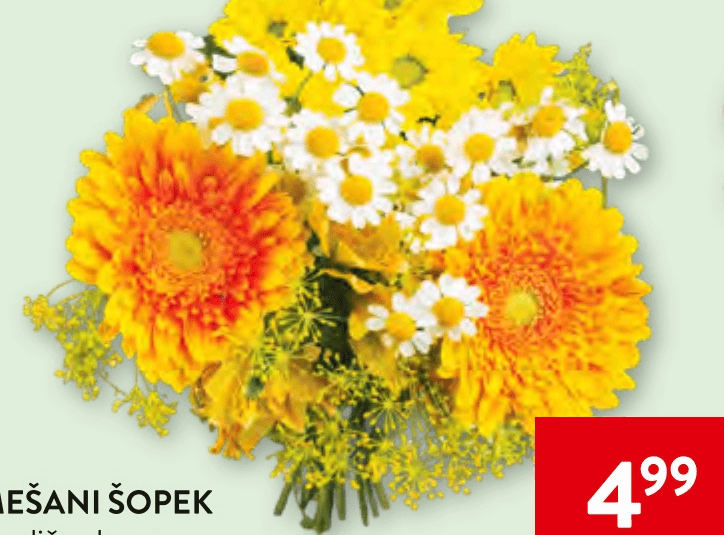 Mešani šopek - Akcija v trgovini Spar