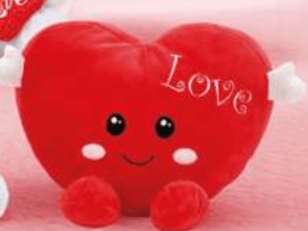 Srce - Akcija v trgovini E.Leclerc