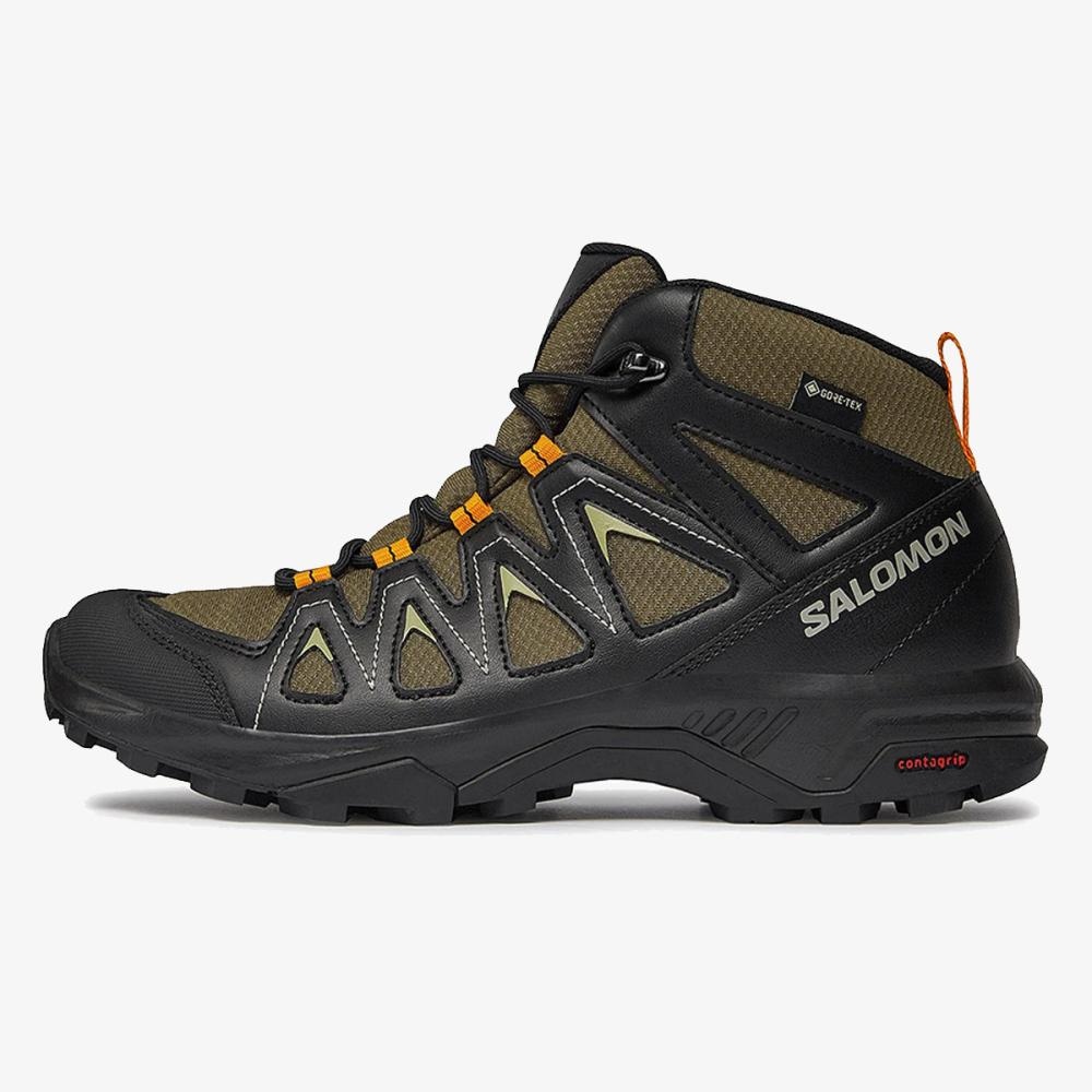 Salomon X Braze Mid GTX