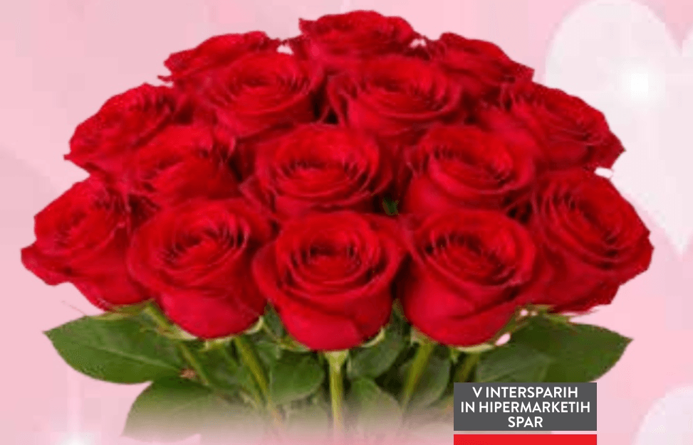 Velik šopek vrtnic - Akcija v trgovini Spar