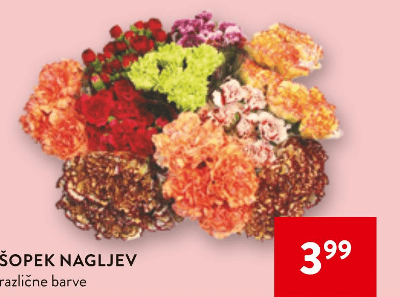 Šopek nagljev - Akcija v trgovini Spar