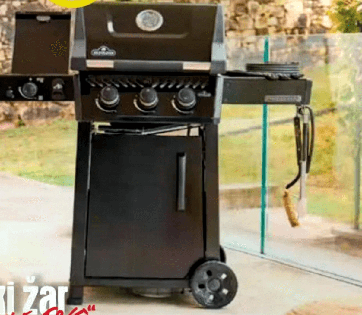 Napoleon Plinski žar "FREESTYLE F365" - Akcija v trgovini Lesnina