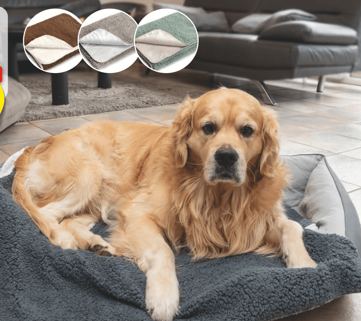 ROMEO Odeja za hišne ljubljenčke - Akcija v trgovini Hofer