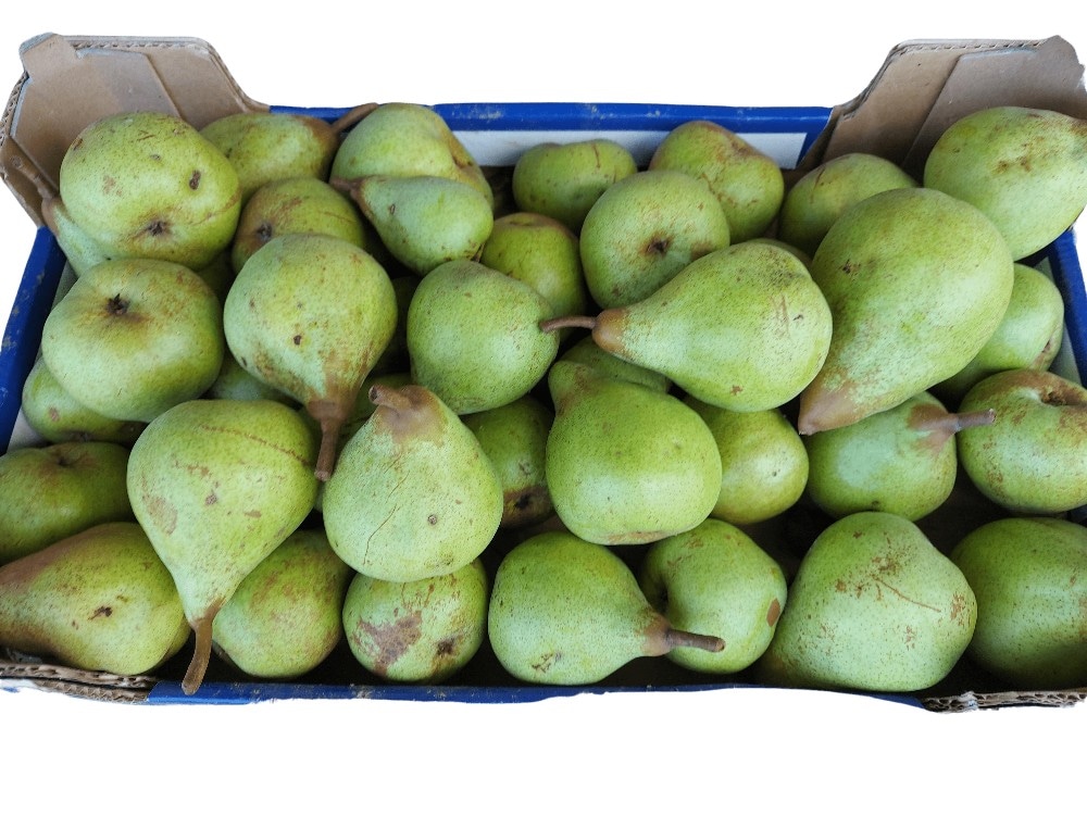 Letne hruške cena za kg Akcija v trgovini Mercator