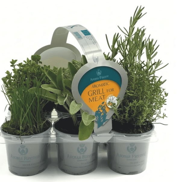 Mix dišavnic in zelišč za žar Aroma Pacere Akcija v trgovini Merkur