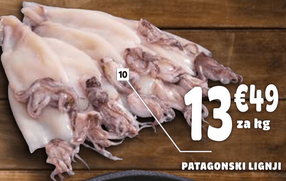 PATAGONSKI LIGNJI - Akcija v trgovini E.Leclerc