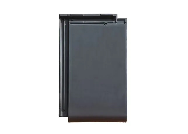 Strešnik Nexe Valens - Akcija v trgovini Jager