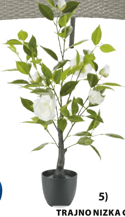 Umetna rastlina SOLOPGANG Ø40xV80 cm - Akcija v trgovini Jysk