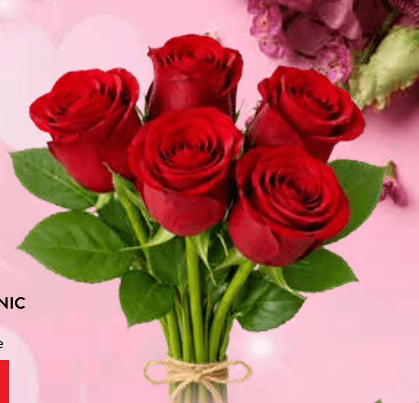 Šopek vrtnic - Akcija v trgovini Spar