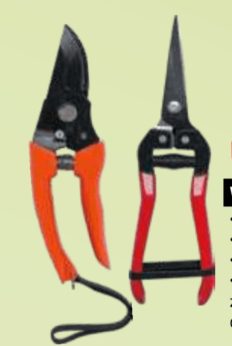 Vrtne škarje - Akcija v trgovini E.Leclerc