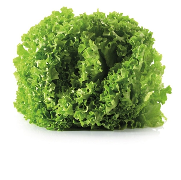 Solata Endivija - Akcija v trgovini Jager