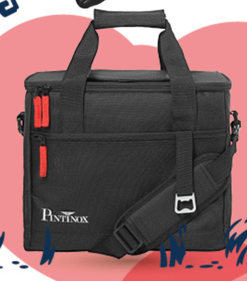 PINTINOX Hladilna torba 20 L - Akcija v trgovini Mercator