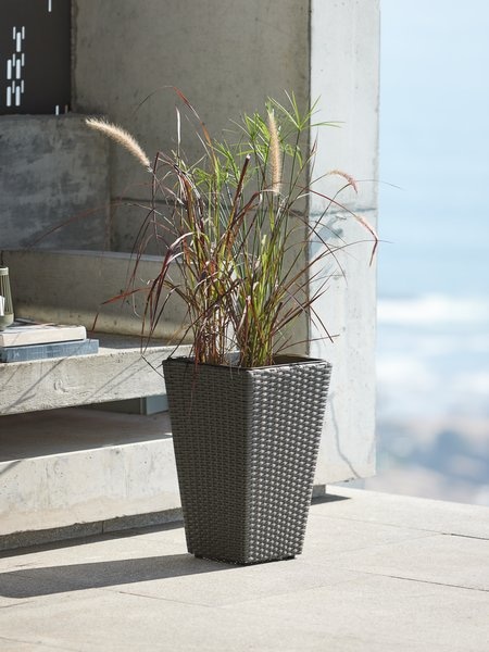 Cvetlični lonec BLOMMOR - Akcija v trgovini Jysk