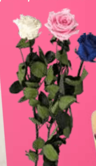 Preparirana vrtnica - Akcija v trgovini E.Leclerc